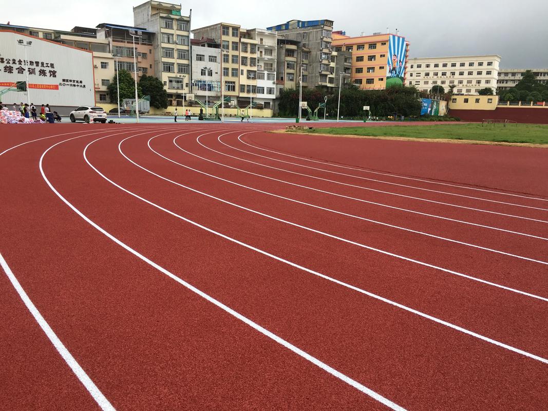淮北市EPDM颗粒塑胶跑道材料 - 厂家